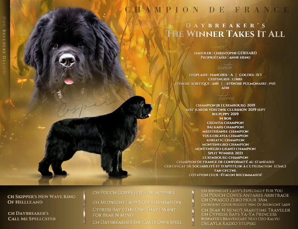 CH. daybreaker`s The winner takes it all