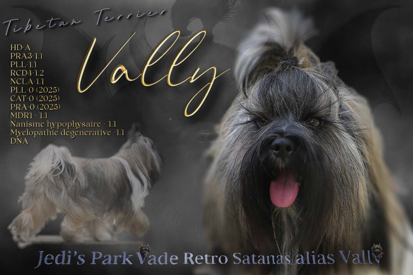 Jedi's Park Vade Retro Satanas Dit Vally