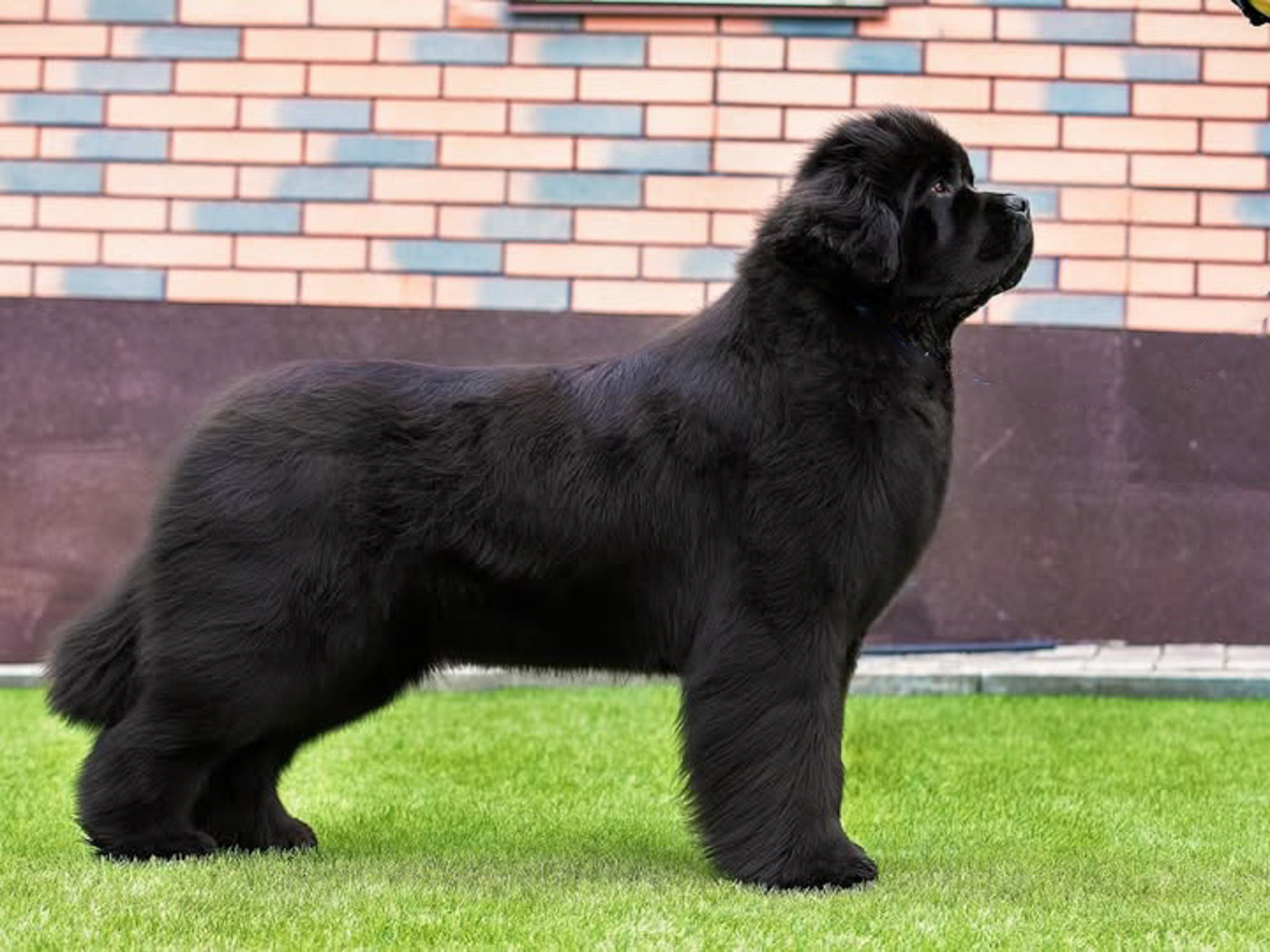 Umka Divnaya Skazka iz zamka melvin